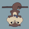 Avatar of kashinomi