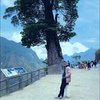 Avatar of Athor97