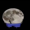 Avatar of amirgamer704
