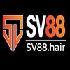Avatar of sv88hair1