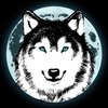 Avatar of o_SHAD0W_o