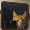 Avatar of noctixxx