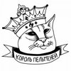 Avatar of Floppa_King