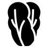 Avatar of lucuo