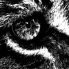 Avatar of mkpf