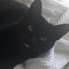 Avatar of aidanfnz