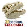 Avatar of 3D Printing Colorado
