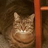 Avatar of Tubz0