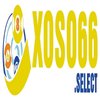 Avatar of Xoso66select