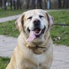 Avatar of Rukas