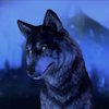 Avatar of MidnightDoesStuff