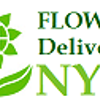 Avatar of Florist Open Now