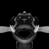 Avatar of Coolboy