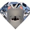 Avatar of Diamcat