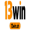 Avatar of 13Winsh