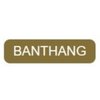 Avatar of Banthang TV