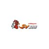 Avatar of SV388