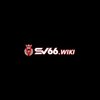 Avatar of SV66 Wiki Xyz