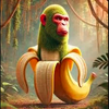 Avatar of vitin_topp