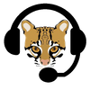 Avatar of RealOcelotGamerYT