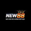 Avatar of new88813