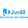 Avatar of Jun88