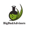 Avatar of BigBudAdvisors