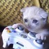 Avatar of MyBABY