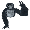 Avatar of everydaycargames