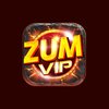 Avatar of Zumvip