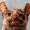 Avatar of StrUs_
