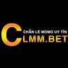 Avatar of Chẵn Lẻ Momo