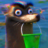 Avatar of Kevin_csc2