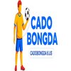 Avatar of Cá độ bóng đá
