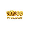 Avatar of vip88today