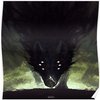 Avatar of igormosse32