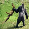 Avatar of jurascoisland1