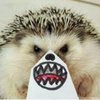 Avatar of Tim.Marwick