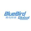 Avatar of BlueBirdGlobal