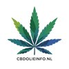 Avatar of cbdolieinfo