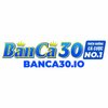 Avatar of Banca30