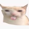 Avatar of Molekyyli666