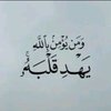 Avatar of Fatiamr9