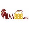 Avatar of Viva88