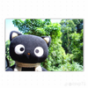 Avatar of maria012505p