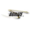 Avatar of Agilize