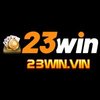 Avatar of 23winvin
