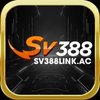 Avatar of sv388linkac