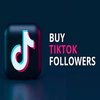 Avatar of followergain