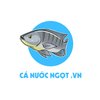 Avatar of Cá Nước Ngọt